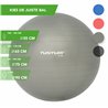 Tunturi Fitnessbal - Gymball - Swiss ball -  55 cm - Incl. pomp - Zilver - incl. gratis fitness app