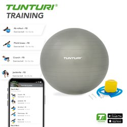 Tunturi Fitnessbal - Gymball - Swiss ball - 65 cm - Incl. pomp - Zilver - incl. gratis fitness app