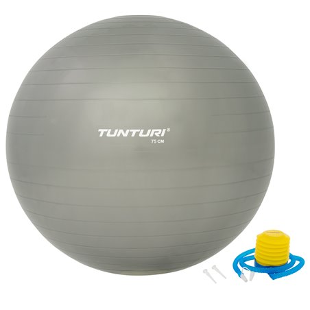 Tunturi Fitnessbal - Gymball - Swiss ball - 75 cm - Incl. - Zilver - Incl. gratis fitness app