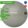 Tunturi Fitnessbal - Gymball - Swiss ball -  75 cm - Incl. pomp - Zilver - Incl. gratis fitness app