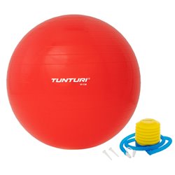 Tunturi Fitnessbal - Gymball - Swiss ball - 55 cm - Incl. pomp - Rood - incl. gratis fitness app