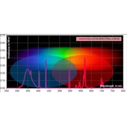 CollaSun Power Lamp 25 Watt