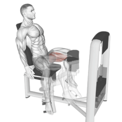 Matrix professionele dij en beentrainer