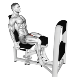 Matrix professionele dij en beentrainer