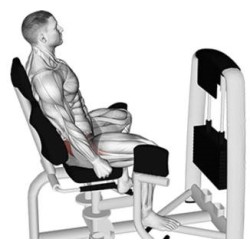 Matrix professionele dij en beentrainer