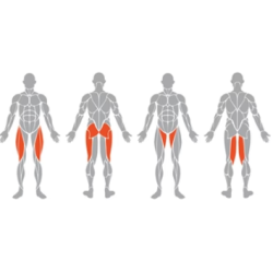 Matrix professionele dij en beentrainer