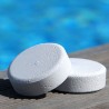 Acti Chloortabletten Long Tab 250gr (5kg) (Enkel geschikt voor de Belgische markt)